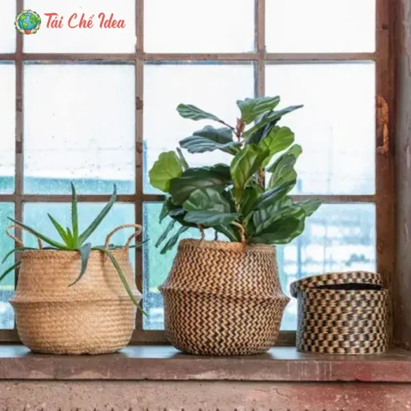 Giỏ Cói Trồng Cây: Vẻ Đẹp Mộc Mạc Của Thiên Nhiên